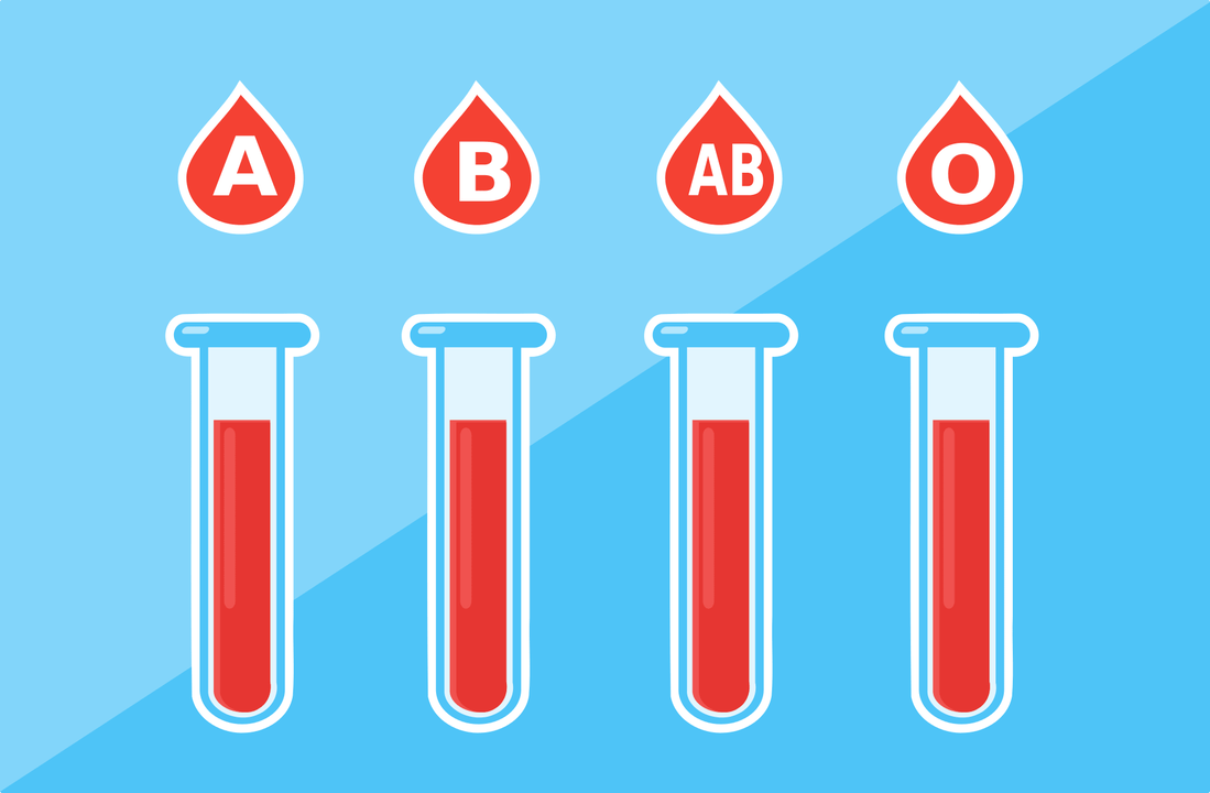 Ada 4 golongan darah – A, B, AB, O