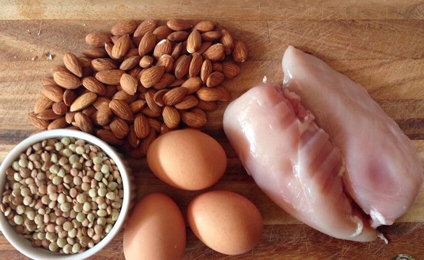 makanan protein